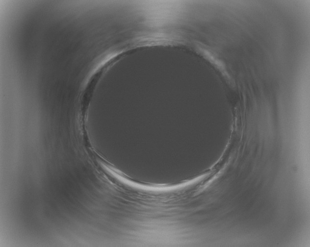 X0000071901453200607212004