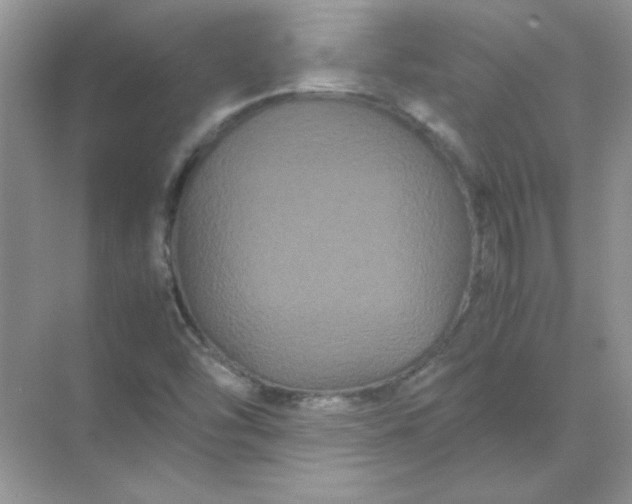 X0000071901454200607212004