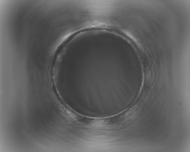 X0000071901455200607212004