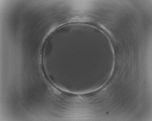 X0000071901459200607212004