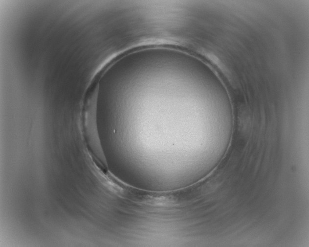 X0000071901460200607212004