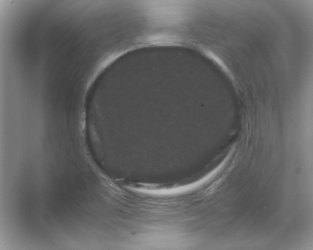 X0000071901461200607212004