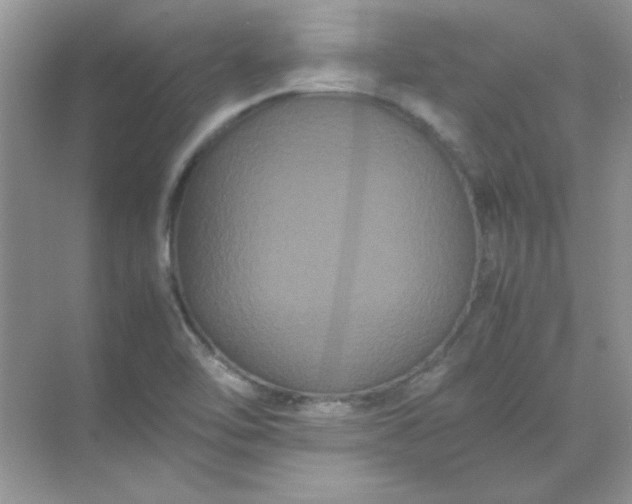 X0000071901462200607212004