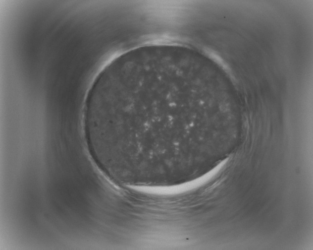 X0000071901463200607212004