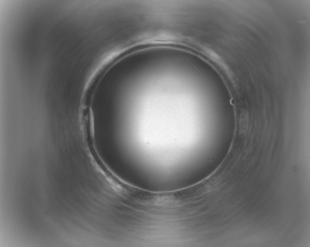 X0000071901464200607212004