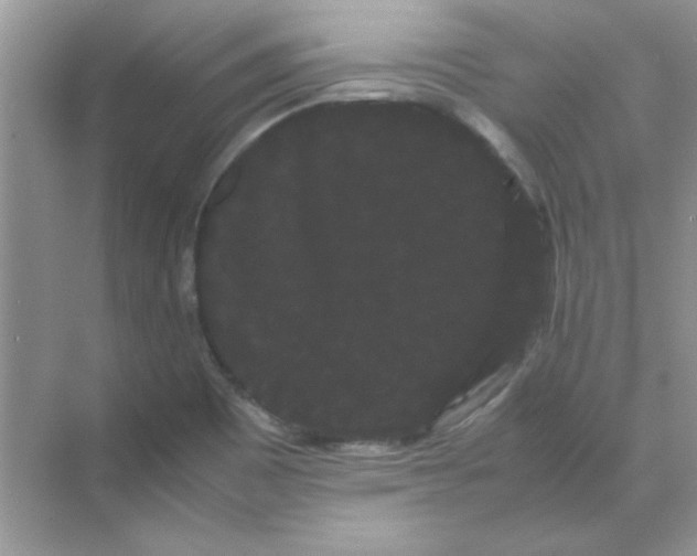 X0000071901465200607212004