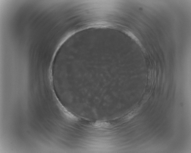 X0000071901466200607212004