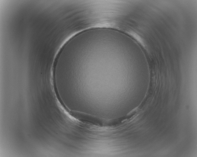 X0000071901468200607212004