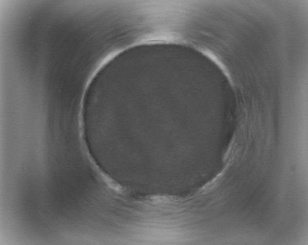 X0000071901469200607212004