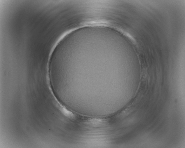 X0000071901470200607212003