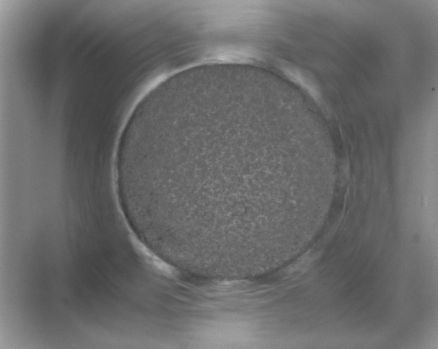 X0000071901471200607212003