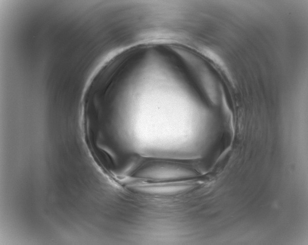 X0000071901472200607212003