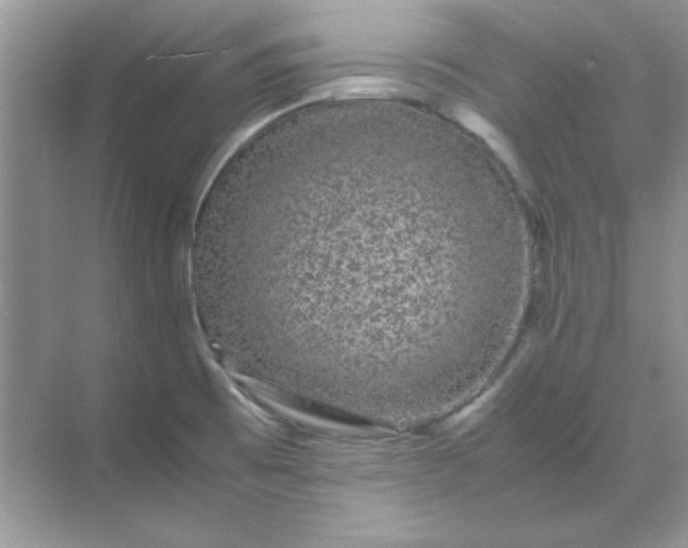 X0000071901473200607212003