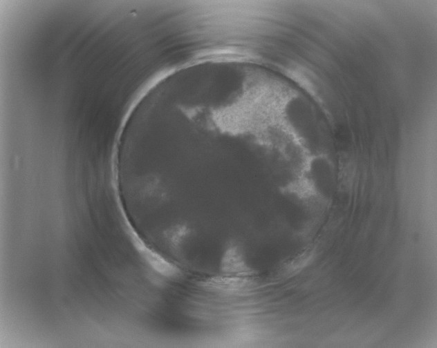 X0000071901474200607212003