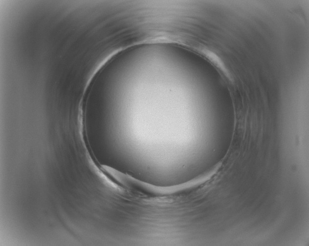 X0000071901476200607212003