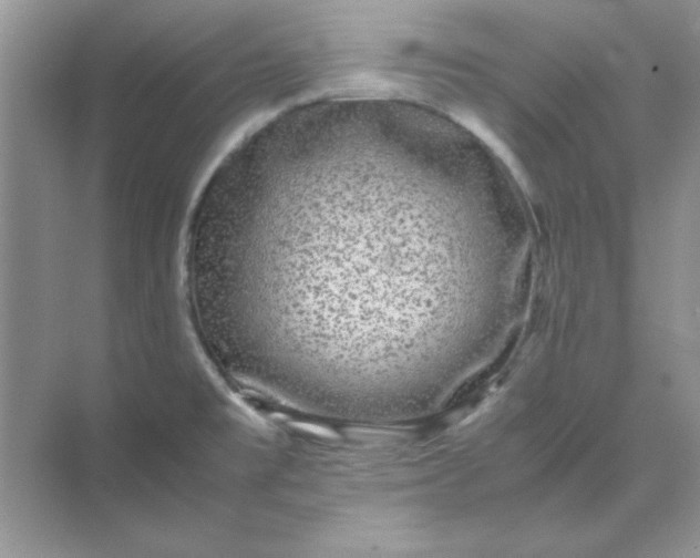 X0000071901477200607212003