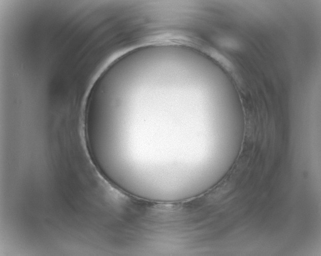 X0000071901478200607212003