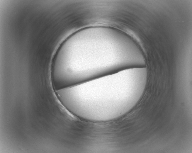 X0000071901480200607212003