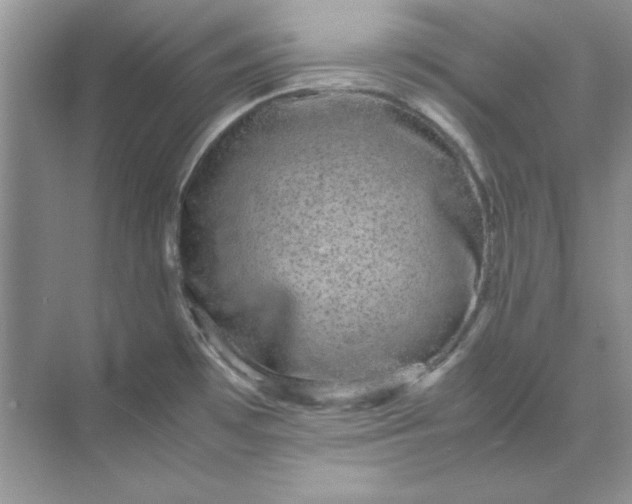 X0000071901481200607212003