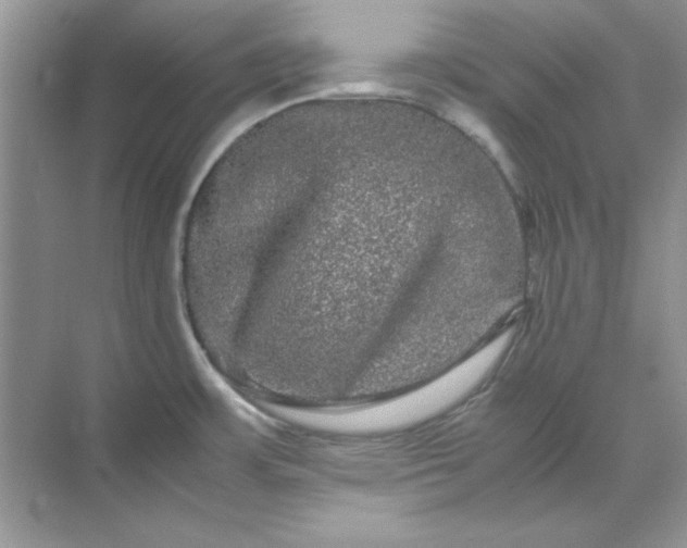 X0000071901483200607212003