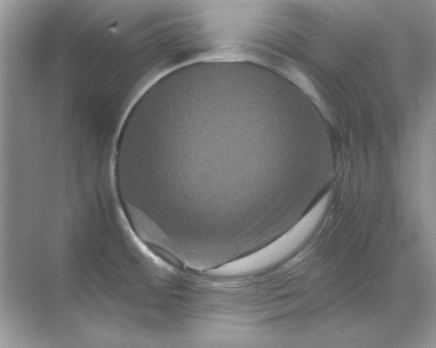 X0000071901484200607212003