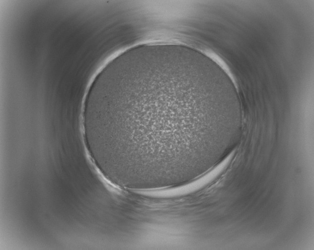 X0000071901485200607212003