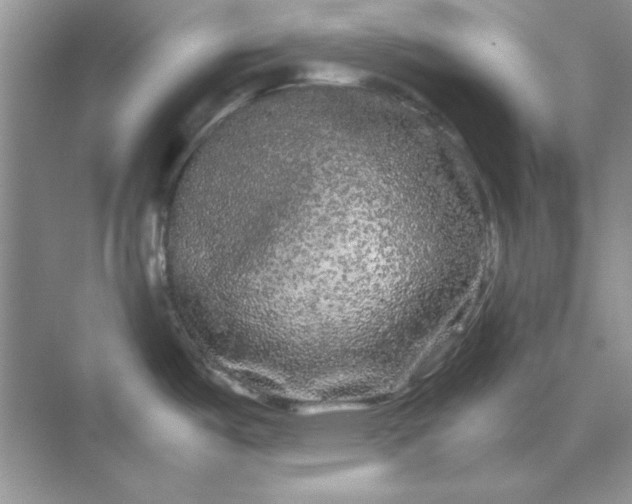 X0000071901487200607212003