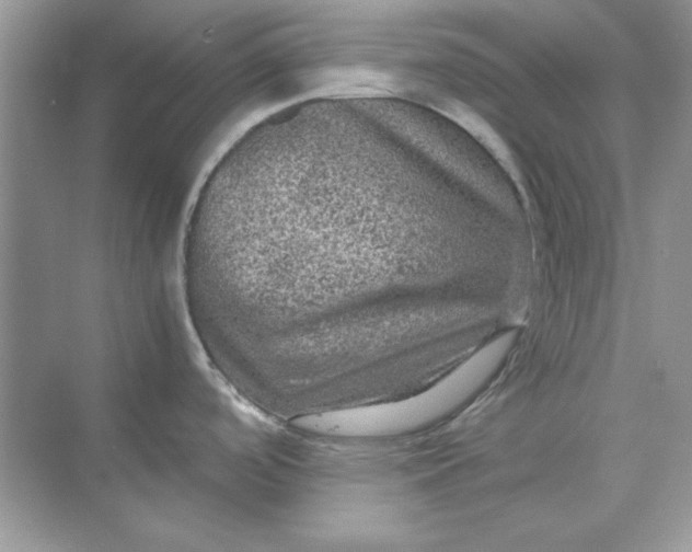 X0000071901488200607212003