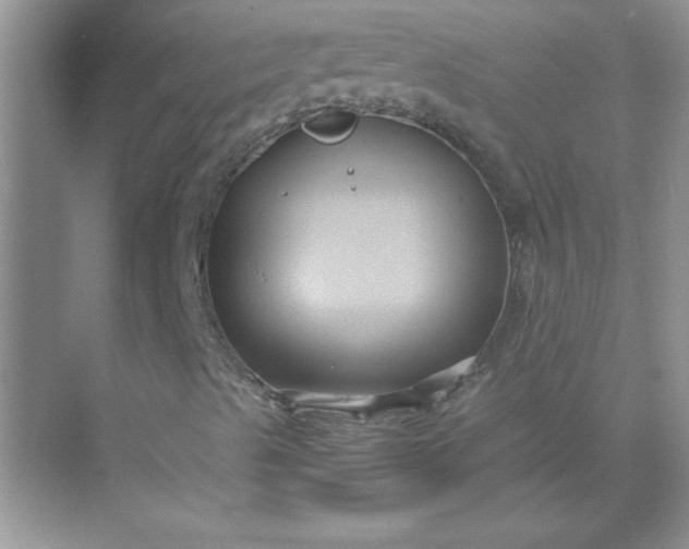 X0000071901489200607212002