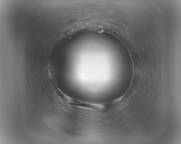 X0000071901490200607212002