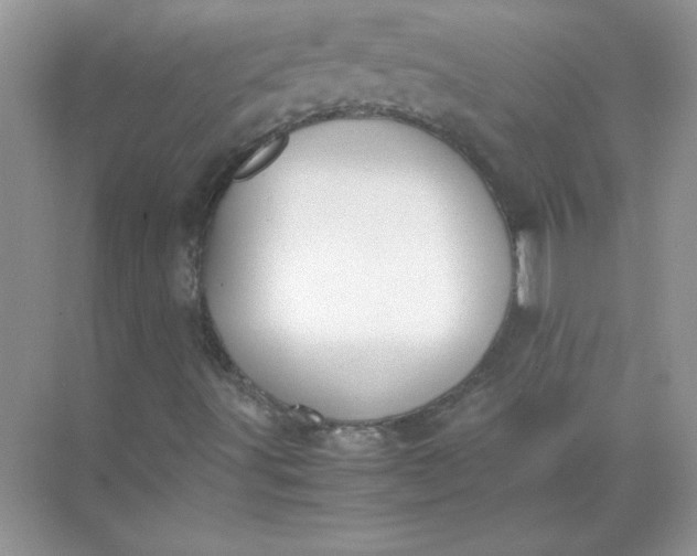 X0000071901491200607212002