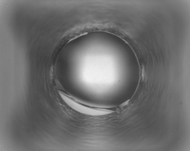 X0000071901492200607212002