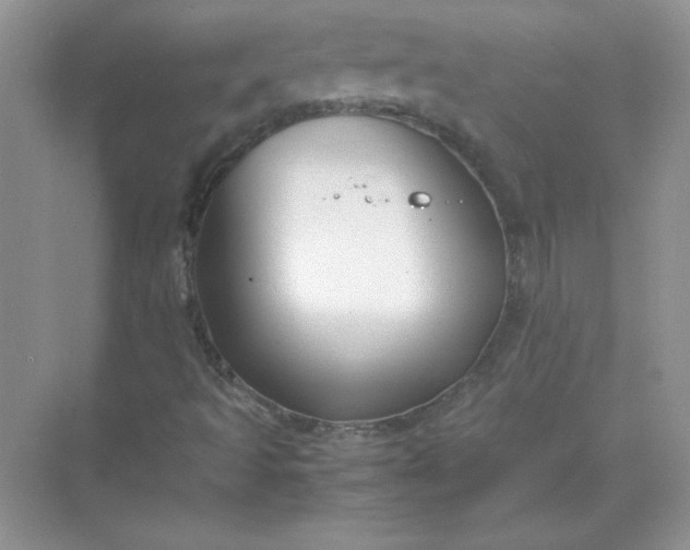 X0000071901493200607212002