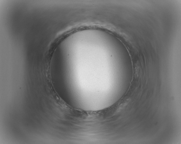 X0000071901494200607212002