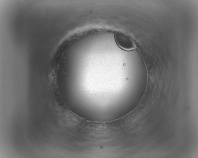 X0000071901495200607212002