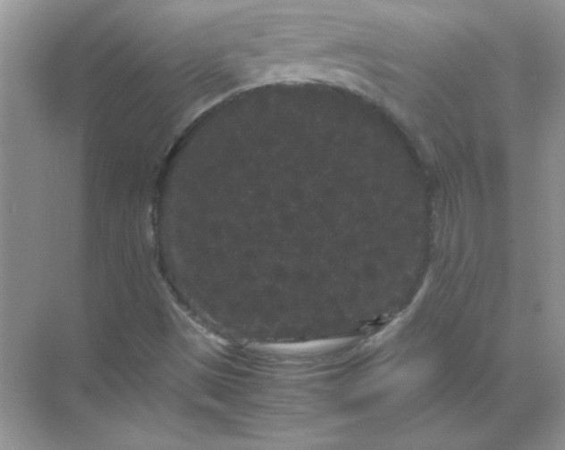 X0000071901497200607212003