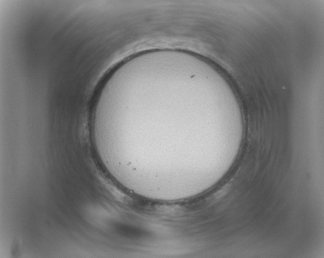 X0000071901498200607212003