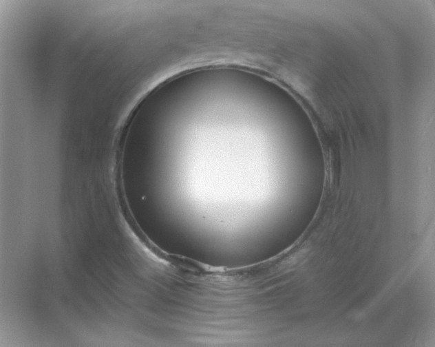 X0000071901500200607212003