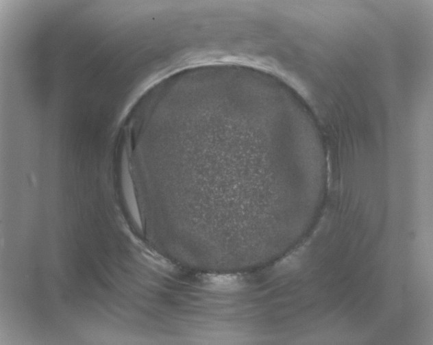 X0000071901501200607212003