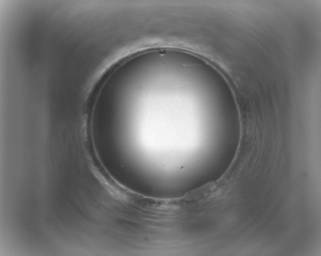 X0000071901503200607212003