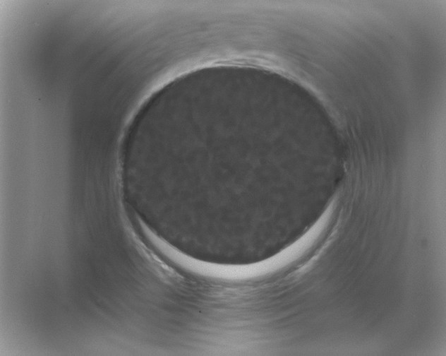 X0000071901506200607212003