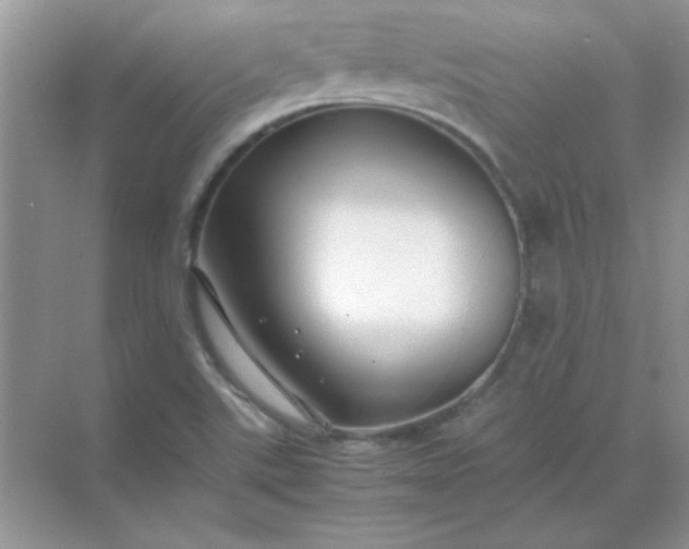 X0000071901507200607212003