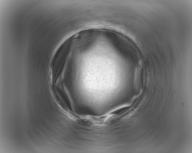 X0000071901509200607212003