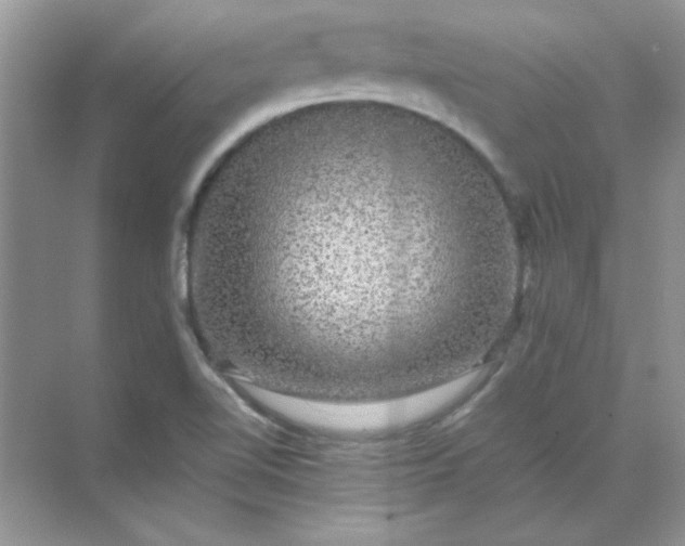 X0000071901510200607212003