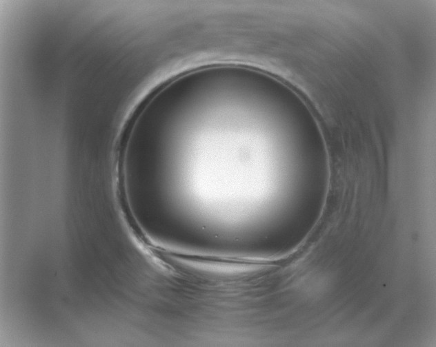 X0000071901511200607212003