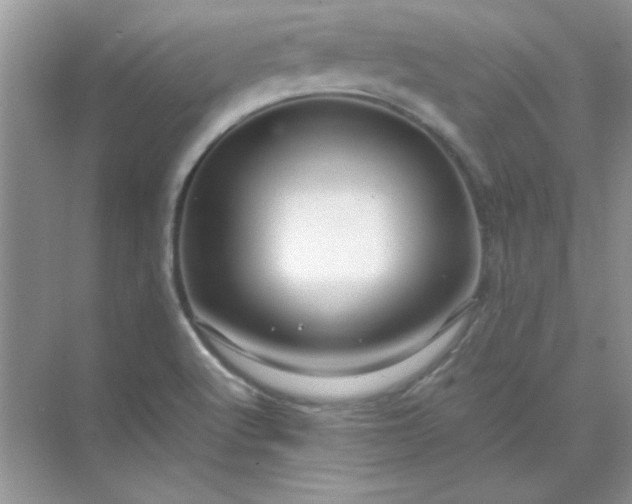 X0000071901512200607212003