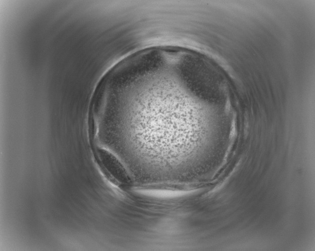 X0000071901513200607212003