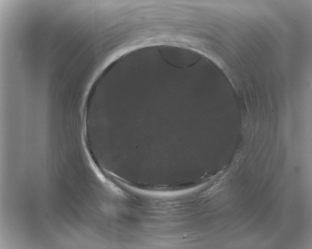 X0000071901515200607212003