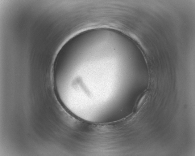 X0000071901516200607212003