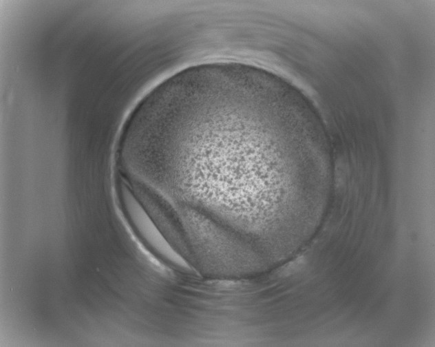 X0000071901517200607212003